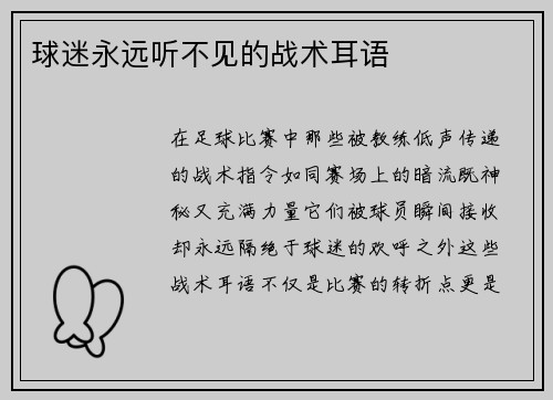 球迷永远听不见的战术耳语