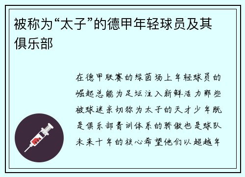 被称为“太子”的德甲年轻球员及其俱乐部